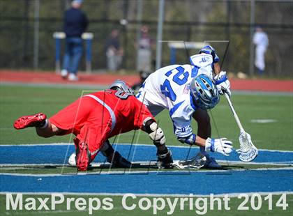 Thumbnail 1 in Niskayuna @ Darien photogallery.