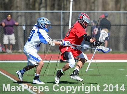 Thumbnail 1 in Niskayuna @ Darien photogallery.