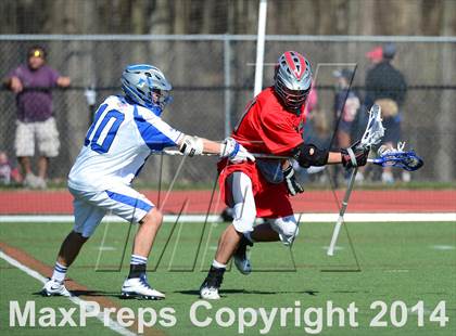 Thumbnail 3 in Niskayuna @ Darien photogallery.