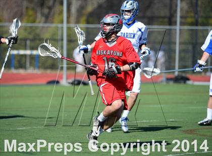 Thumbnail 2 in Niskayuna @ Darien photogallery.