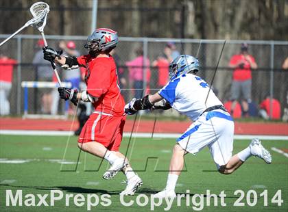 Thumbnail 1 in Niskayuna @ Darien photogallery.