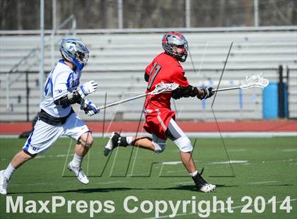 Thumbnail 1 in Niskayuna @ Darien photogallery.
