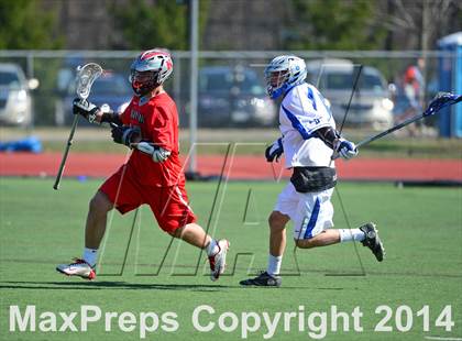 Thumbnail 1 in Niskayuna @ Darien photogallery.