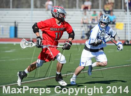 Thumbnail 1 in Niskayuna @ Darien photogallery.