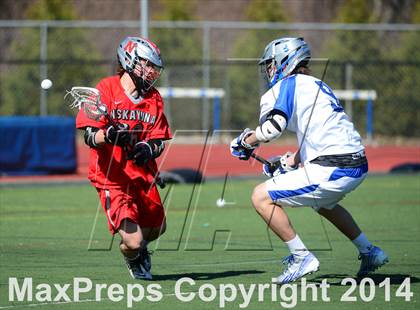 Thumbnail 1 in Niskayuna @ Darien photogallery.