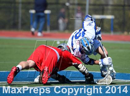 Thumbnail 3 in Niskayuna @ Darien photogallery.