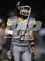 Photo from the gallery "Murphy @ Williamson"