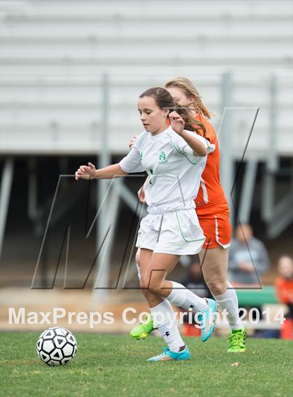 Thumbnail 3 in Rocky River @ Myers Park photogallery.