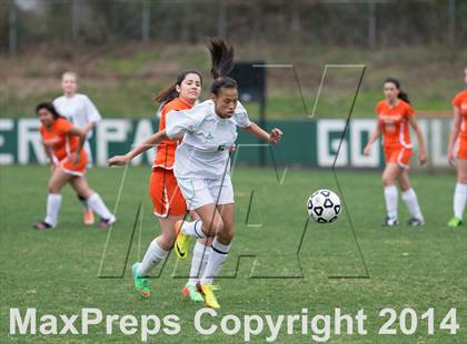 Thumbnail 3 in Rocky River @ Myers Park photogallery.