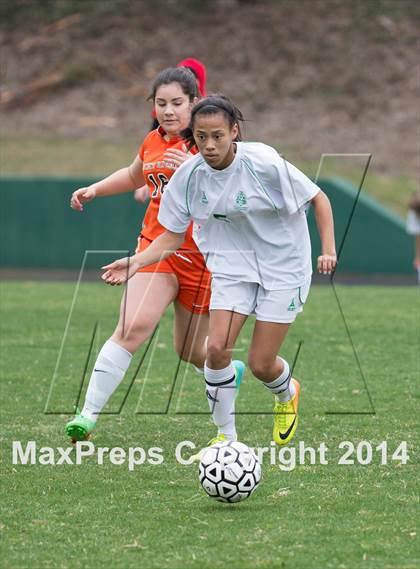 Thumbnail 3 in Rocky River @ Myers Park photogallery.