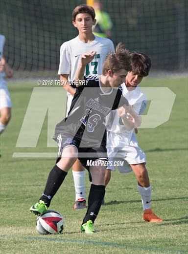 null - Photo 11