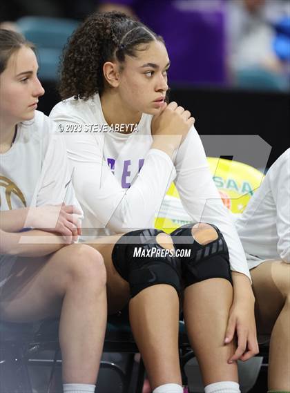 Thumbnail 2 in Lutheran vs. Holy Family (CHSAA 4A Semifinal) photogallery.