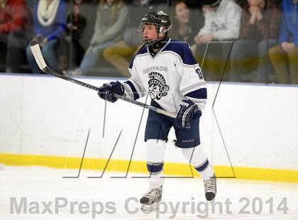 Thumbnail 1 in Shepaug/Litchfield/Nonnewaug @ New Milford photogallery.