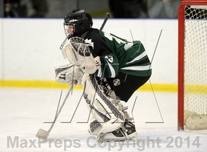 Thumbnail 1 in Shepaug/Litchfield/Nonnewaug @ New Milford photogallery.