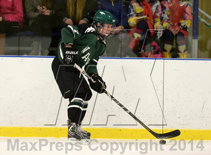 Thumbnail 3 in Shepaug/Litchfield/Nonnewaug @ New Milford photogallery.