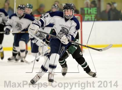 Thumbnail 2 in Shepaug/Litchfield/Nonnewaug @ New Milford photogallery.