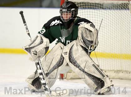 Thumbnail 1 in Shepaug/Litchfield/Nonnewaug @ New Milford photogallery.