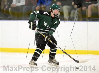 Thumbnail 3 in Shepaug/Litchfield/Nonnewaug @ New Milford photogallery.