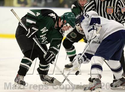 Thumbnail 1 in Shepaug/Litchfield/Nonnewaug @ New Milford photogallery.