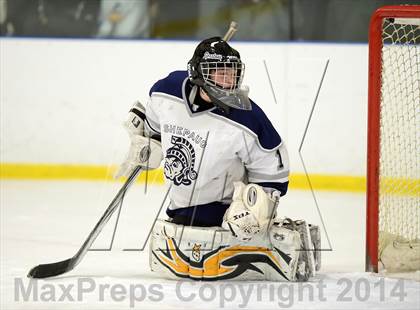Thumbnail 2 in Shepaug/Litchfield/Nonnewaug @ New Milford photogallery.