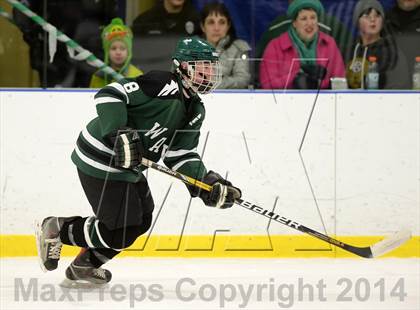 Thumbnail 3 in Shepaug/Litchfield/Nonnewaug @ New Milford photogallery.