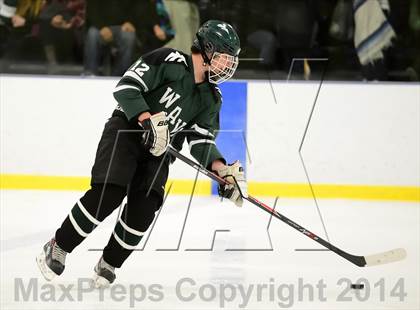 Thumbnail 3 in Shepaug/Litchfield/Nonnewaug @ New Milford photogallery.
