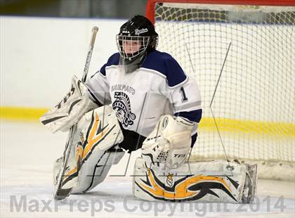 Thumbnail 1 in Shepaug/Litchfield/Nonnewaug @ New Milford photogallery.