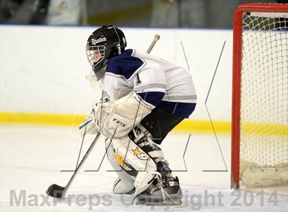 Thumbnail 2 in Shepaug/Litchfield/Nonnewaug @ New Milford photogallery.