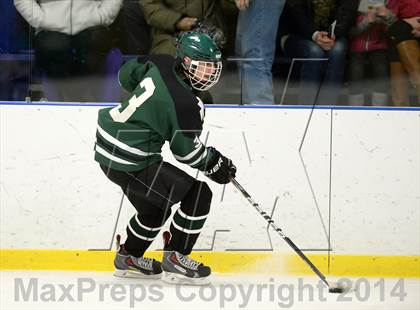 Thumbnail 1 in Shepaug/Litchfield/Nonnewaug @ New Milford photogallery.