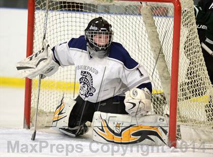 Thumbnail 2 in Shepaug/Litchfield/Nonnewaug @ New Milford photogallery.