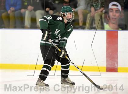 Thumbnail 3 in Shepaug/Litchfield/Nonnewaug @ New Milford photogallery.