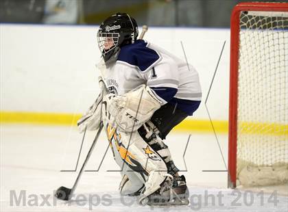 Thumbnail 3 in Shepaug/Litchfield/Nonnewaug @ New Milford photogallery.