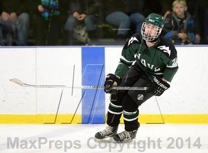 Thumbnail 2 in Shepaug/Litchfield/Nonnewaug @ New Milford photogallery.
