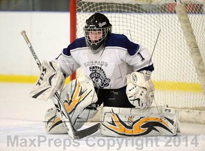 Thumbnail 3 in Shepaug/Litchfield/Nonnewaug @ New Milford photogallery.