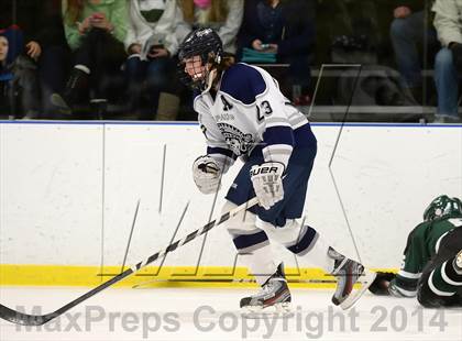 Thumbnail 2 in Shepaug/Litchfield/Nonnewaug @ New Milford photogallery.