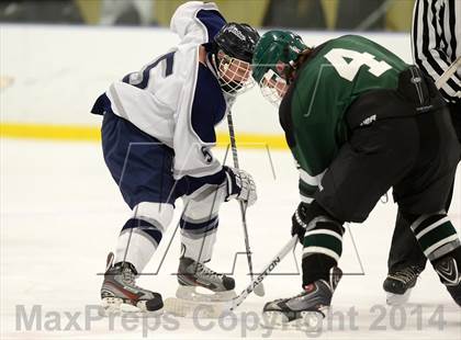Thumbnail 2 in Shepaug/Litchfield/Nonnewaug @ New Milford photogallery.