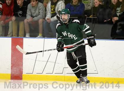 Thumbnail 3 in Shepaug/Litchfield/Nonnewaug @ New Milford photogallery.
