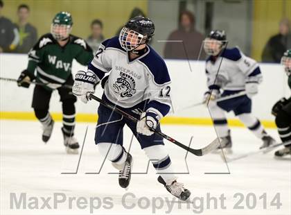 Thumbnail 2 in Shepaug/Litchfield/Nonnewaug @ New Milford photogallery.