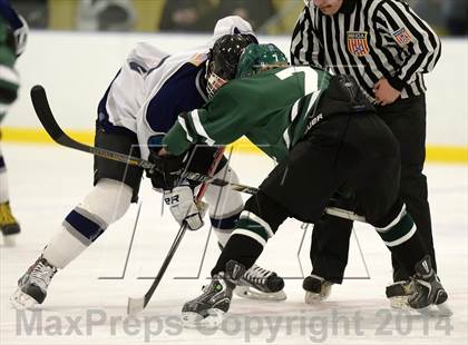 Thumbnail 3 in Shepaug/Litchfield/Nonnewaug @ New Milford photogallery.