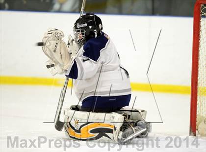 Thumbnail 2 in Shepaug/Litchfield/Nonnewaug @ New Milford photogallery.