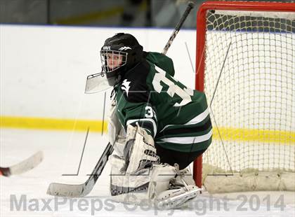 Thumbnail 2 in Shepaug/Litchfield/Nonnewaug @ New Milford photogallery.