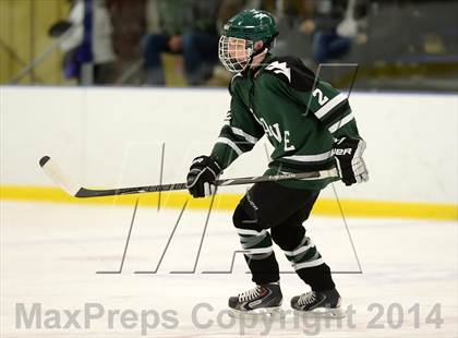 Thumbnail 2 in Shepaug/Litchfield/Nonnewaug @ New Milford photogallery.