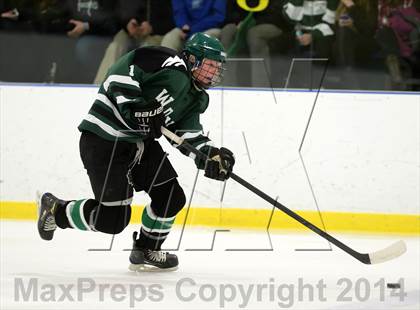 Thumbnail 2 in Shepaug/Litchfield/Nonnewaug @ New Milford photogallery.