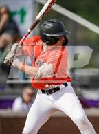 Photo from the gallery "Catholic-B.R. @ Pineville"