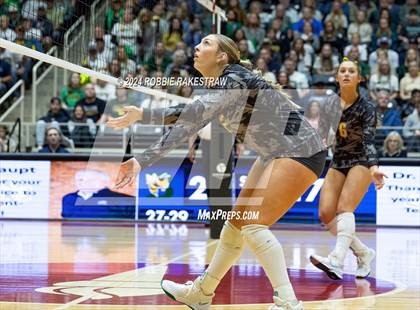 Thumbnail 1 in Boyd vs. Stockdale (UIL 3A Volleyball Division II Final) photogallery.