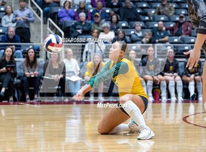 Thumbnail 3 in Boyd vs. Stockdale (UIL 3A Volleyball Division II Final) photogallery.