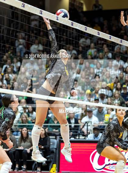 Thumbnail 2 in Boyd vs. Stockdale (UIL 3A Volleyball Division II Final) photogallery.