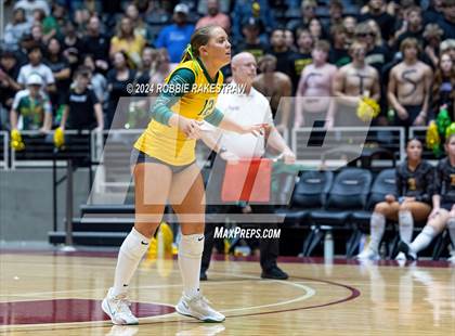 Thumbnail 2 in Boyd vs. Stockdale (UIL 3A Volleyball Division II Final) photogallery.