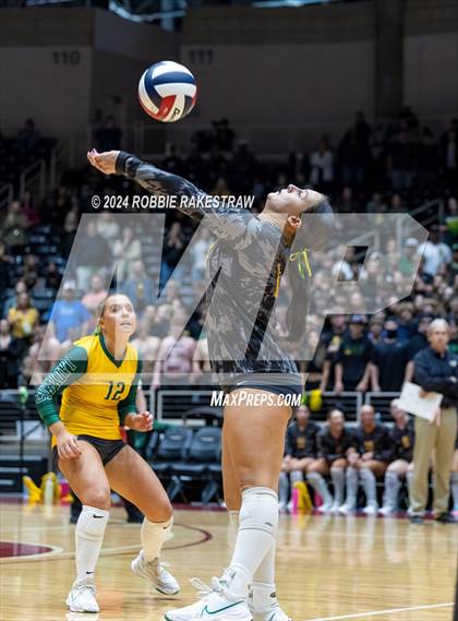 Thumbnail 1 in Boyd vs. Stockdale (UIL 3A Volleyball Division II Final) photogallery.