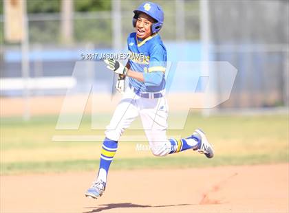 Thumbnail 1 in Los Altos @ Charter Oak photogallery.